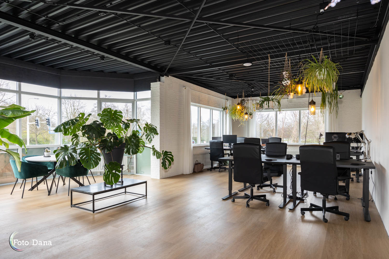 flexruimte kantoor met diverse bureau's en planten